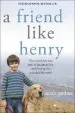 Audiobook A Friend Like Henry: The Remarkable True Story of an Autistic boy and the dog That Unlocked his World author Nuala Gardner