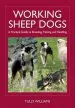 Audiobook Working Sheep Dogs: A Practical Guide to Breeding, Training and Handling author Tully Williams