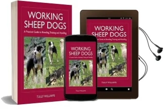 Working Sheep Dogs: A Practical Guide to Breeding, Training and Handling Audiobook download free by Tully Williams