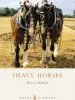 Audiobook Heavy Horses author Diana Zeuner