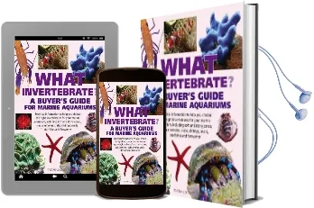 What Invertebrate? Audiobook download free by Tristan Lougher
