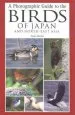 Audiobook A Photographic Guide to the Birds of Japan and North-East Asia author Tadao Shimba
