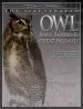 Audiobook Illustrated Owl: Barn, Barred & Great Horned author Denny Rogers