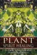 Audiobook Plant Spirit Healing: A Guide to Working With Plant Consciousness author Pam Montgomery