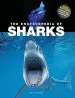 Audiobook The Encyclopedia of Sharks author Steve Parker