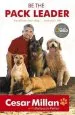 Audiobook Be the Pack Leader author Cesar Millan