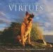 Audiobook German Shepherd Virtues: Lessons Learned From our Faithful Companions author Melissa Sovey