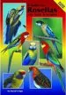 Audiobook A Guide to Rosellas and Their Mutations author Russell Pringle