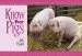 Audiobook Know Your Pigs author Jack Byard