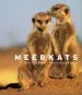 Audiobook Meerkats author Nigel Dennis
