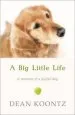 Audiobook A big Little Life author Dean Koontz
