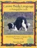 Audiobook Canine Body Language: A Photographic Guide: Interpreting the Native author Brenda Aloff