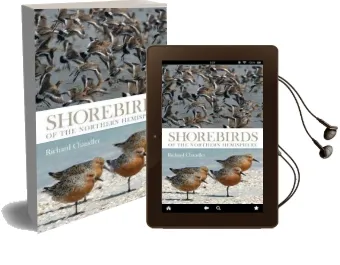 Shorebirds of the Northern Hemisphere Audiobook download free by Richard Chandler