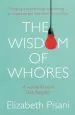 Audiobook Wisdom of Whores: Bureaucrats, Brothels and the Business of Aids author Elizabeth Pisani