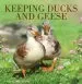 Audiobook Keeping Ducks and Geese author Chris Ashton