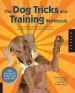 Audiobook The dog Tricks and Training Workbook: A Step-By-Step Interactive Curriculum to Engage, Challenge, and Bond With Your dog author Kyra Sundance