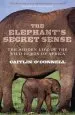 Audiobook The Elephant'S Secret Sense: The Hidden Life of the Wild Herds of Africa author Caitlin O'Connell