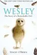 Audiobook Wesley: The Story of a Remarkable owl author Stacey O'Brien