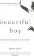 Audiobook Beautiful boy: A Father'S Journey Through his Son'S Addiction author David Sheff