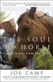 Audiobook The Soul of a Horse author Joe Camp