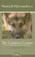 Audiobook The Cautious Canine author Ph.D. Patricia B. Mcconnell