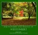 Audiobook The Wonder and Beauty of Westonbirt author Graham Light