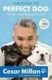 Audiobook How to Raise the Perfect dog author Cesar Millan