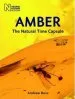 Audiobook Amber: The Natural Time Capsule author Andrew Ross
