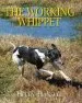 Audiobook The Working Whippet author Helen Hansell