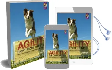 Agility Right From the Start Audiobook download free by Eva Bertilsson