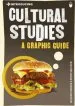 Audiobook Introducing Cultural Studies: A Graphic Guide author Ziauddin Sardar