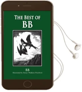 The Best of 'Bb' Audiobook download free by B. B.