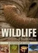 Audiobook Wildlife of South Africa author Duncan Butchart