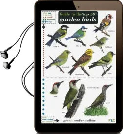 Guide to the top 50 Garden Birds Audiobook download free by Andy Simms