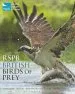 Audiobook Rspb British Birds of Prey author Marianne Taylor