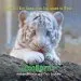 Audiobook Zooborns: The Cutest Baby Animals From Zoos Around the World! author Andrew Bleiman