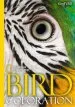 Audiobook National Geographic Bird Colouration author Geoffrey E. Hill