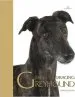 Audiobook The Retired Racing Greyhound author Mark Sullivan