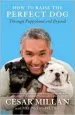 Audiobook How to Raise the Perfect dog: Through Puppyhood and Beyond author Cesar Millan