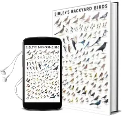 Sibley'S Backyard Birds: Western North America Audiobook download free by David Allen Sibley