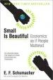 Audiobook Small is Beautiful: Economics as if People Mattered author E F Schumacher