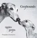 Audiobook Greyhounds big and Small: Iggies and Greyts author Amanda Jones