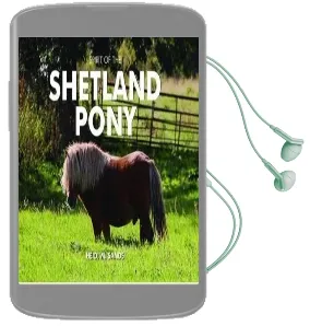 Spirit of the Shetland Pony Audiobook download free by Heidi M. Sands