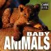 Audiobook Baby Animals author Angela Serena Ildos