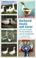Audiobook Backyard Ducks and Geese: A Practical Guide for the Enthusiast and the Smallholder author J. C. Jeremy Hobson
