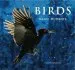 Audiobook Birds: Magic Moments author Markus Varesvuo