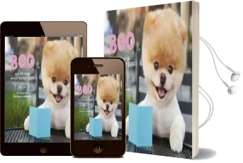 Boo: The Life of the World'S Cutest dog Audiobook download free by J. H. Lee