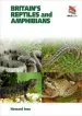 Audiobook Britain`S Reptiles and Amphibians author Howard Inns