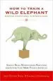 Audiobook How to Train a Wild Elephant author Jan Chozen Bays