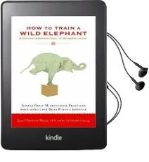 How to Train a Wild Elephant Audiobook download free by Jan Chozen Bays